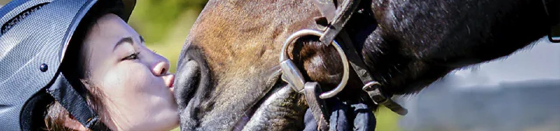 sobre_homens_e_cavalos