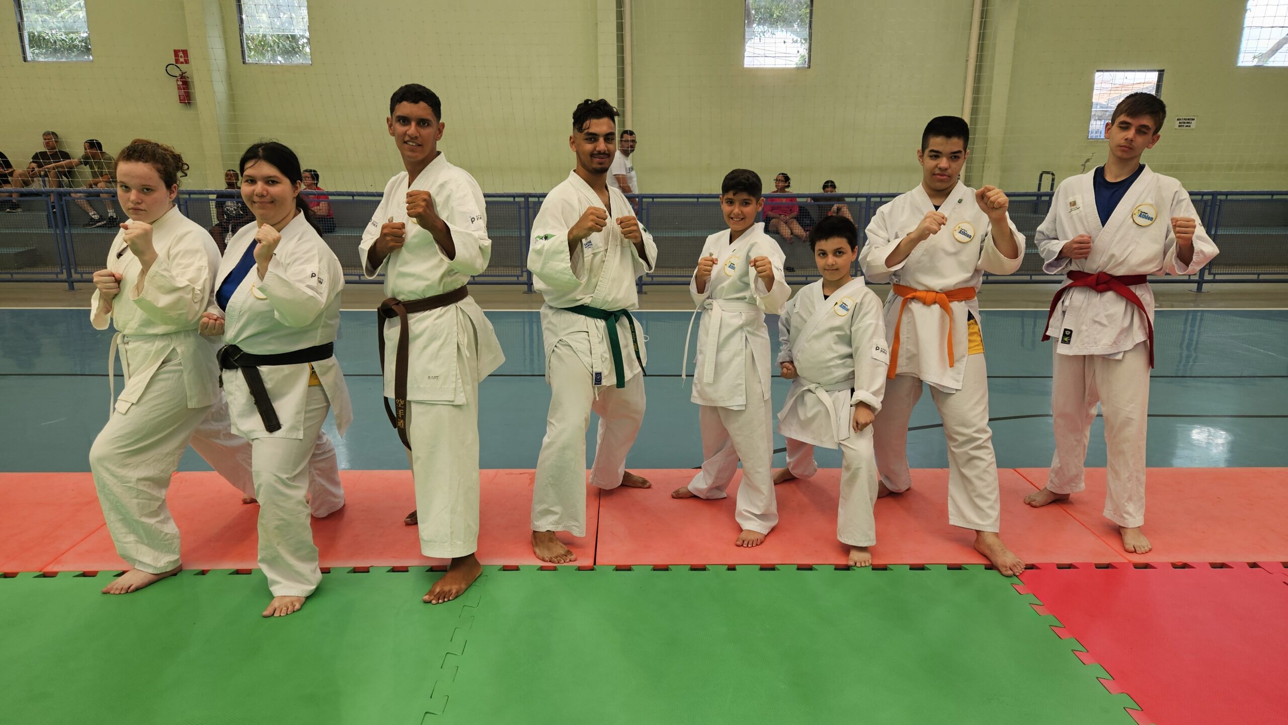 54174488653_76d76002da_o